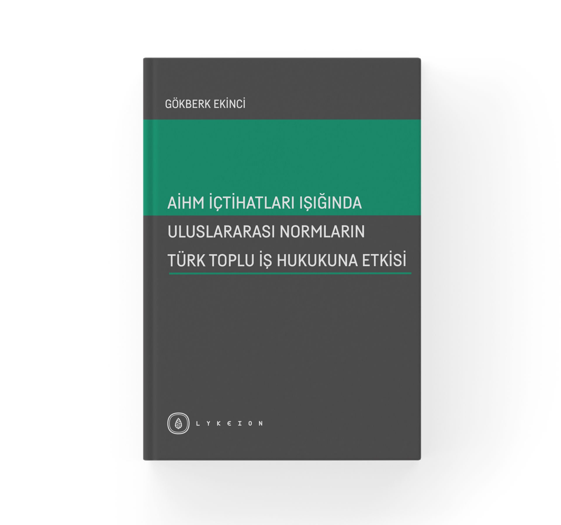 AİHM İçtihatları Işığında Uluslararası Normların Türk Toplu İş Hukukuna Etkisi