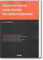 Çalışanların Yarattığı Eserler Üzerinde Fikri Hakların Korunması