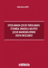 Uygulamada Çocuk Yargılaması: İstanbul Anadolu Adliyesi Çocuk Mahkemelerinde Dosya İncelemesi