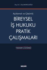 Bireysel İş Hukuku Pratik Çalışmaları