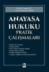 Anayasa Hukuku Pratik Çalışmaları