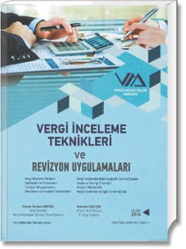 Vergi İnceleme Teknikleri ve Revizyon Uygulamaları