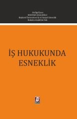 İş Hukukunda Esneklik