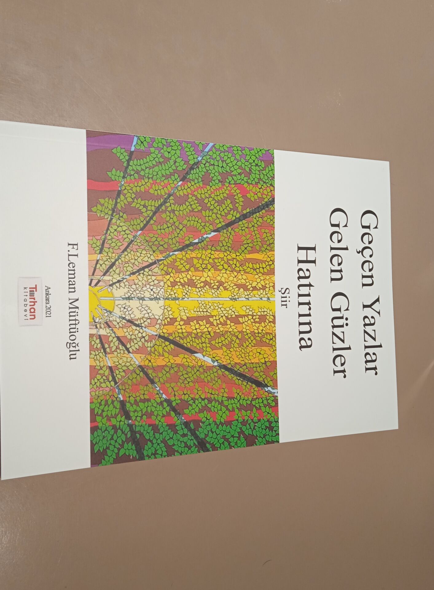 Geçen Yazlar Gelen Güzler Hatırına