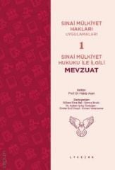 Sınai Mülkiyet Hukuku İle İlgili Mevzuat