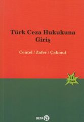 Türk Ceza Hukukuna Giriş