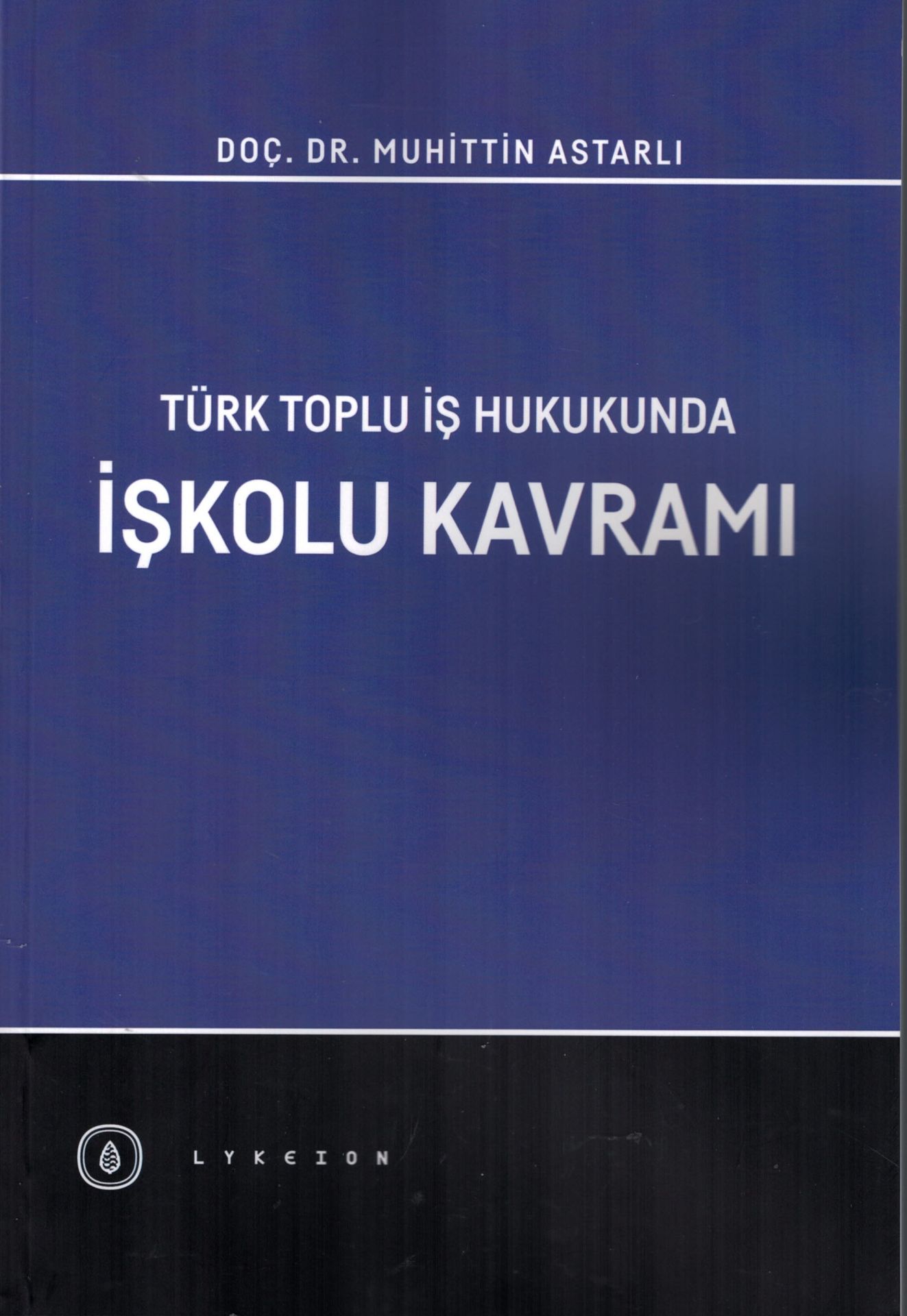 Türk Toplu İş Hukukunda İşkolu Kavramı