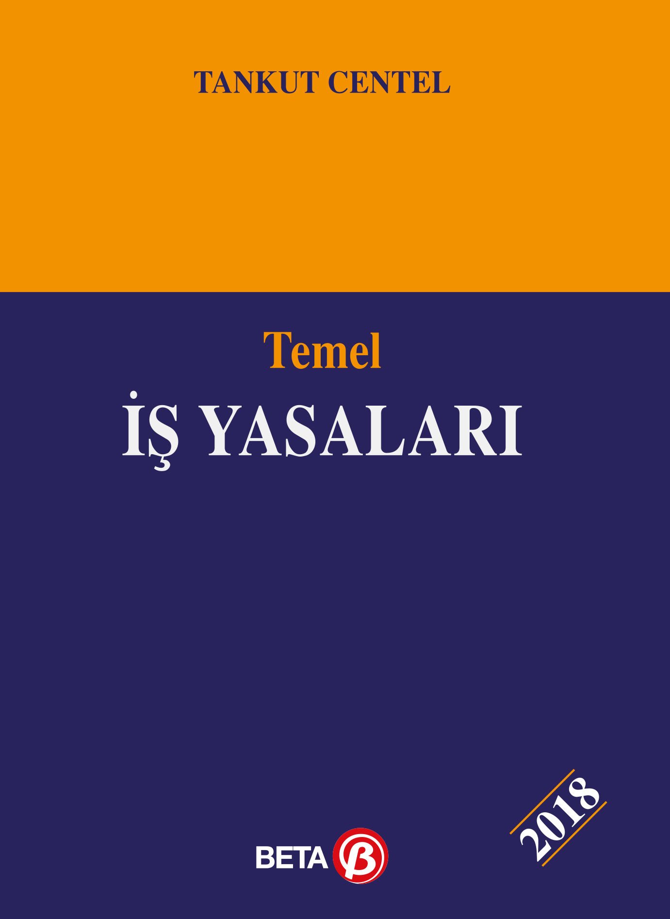 Temel İş Yasaları