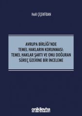Avrupa Birliği'nde Temel Hakların Korunması:Temel Haklar Şartı ve Onu Doğuran Süreç Üzerine Bir İnceleme